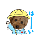 えんどうまろんくん（個別スタンプ：10）