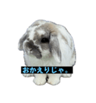 ハラミ君スタンプ（個別スタンプ：5）