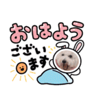 みんと♡ビションフリーゼ（個別スタンプ：1）