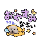 みんと♡ビションフリーゼ（個別スタンプ：3）
