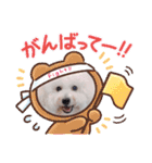 みんと♡ビションフリーゼ（個別スタンプ：4）
