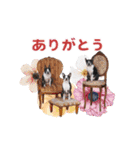 アンムギコメです。（個別スタンプ：4）