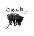 NOA1230（個別スタンプ：10）