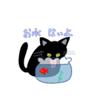 お留守番中のうちのねこからくるスタンプ（個別スタンプ：6）
