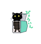 お留守番中のうちのねこからくるスタンプ（個別スタンプ：21）