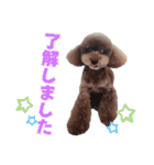 といぷーどる！チャロくんのスタンプ（個別スタンプ：18）