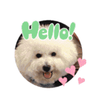みんと♡1歳記念スタンプ（個別スタンプ：1）