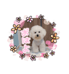 みんと♡1歳記念スタンプ（個別スタンプ：3）