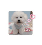 みんと♡1歳記念スタンプ（個別スタンプ：4）