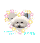 みんと♡1歳記念スタンプ（個別スタンプ：5）