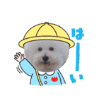 みんと♡1歳記念スタンプ（個別スタンプ：10）