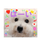 みんと♡1歳記念スタンプ（個別スタンプ：11）