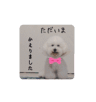 みんと♡1歳記念スタンプ（個別スタンプ：12）