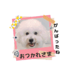 みんと♡1歳記念スタンプ（個別スタンプ：13）