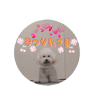 みんと♡1歳記念スタンプ（個別スタンプ：14）