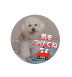 みんと♡1歳記念スタンプ（個別スタンプ：16）