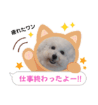 みんと♡1歳記念スタンプ（個別スタンプ：18）