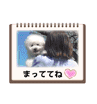 みんと♡1歳記念スタンプ（個別スタンプ：19）