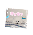 みんと♡1歳記念スタンプ（個別スタンプ：20）