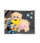 みんと♡1歳記念スタンプ（個別スタンプ：21）