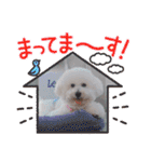 みんと♡1歳記念スタンプ（個別スタンプ：22）