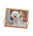 みんと♡1歳記念スタンプ（個別スタンプ：25）