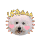 みんと♡1歳記念スタンプ（個別スタンプ：28）
