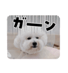 みんと♡1歳記念スタンプ（個別スタンプ：31）