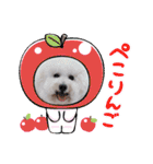 みんと♡1歳記念スタンプ（個別スタンプ：33）