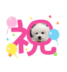 みんと♡1歳記念スタンプ（個別スタンプ：38）