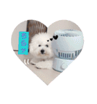 みんと♡1歳記念スタンプ（個別スタンプ：39）