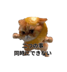 偉そうなレモン猫（個別スタンプ：7）