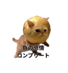 偉そうなレモン猫（個別スタンプ：13）