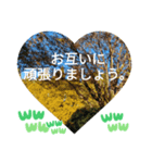 いいえ、きにしないで。記念公園 応援挨拶（個別スタンプ：8）