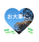 いいえ、きにしないで。記念公園 応援挨拶（個別スタンプ：22）