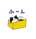 お留守番中のうちのねこからくるスタンプ02（個別スタンプ：2）