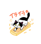 お留守番中のうちのねこからくるスタンプ02（個別スタンプ：4）