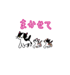 お留守番中のうちのねこからくるスタンプ02（個別スタンプ：12）