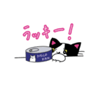 お留守番中のうちのねこからくるスタンプ02（個別スタンプ：13）