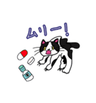 お留守番中のうちのねこからくるスタンプ02（個別スタンプ：16）