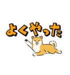 今日も柴犬が可愛い3 -赤柴-（個別スタンプ：25）