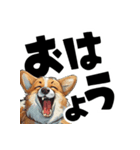 毎日使える可愛いコーギーでか文字（個別スタンプ：6）