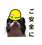 安全第一！仕事猫エレが作業現場で一言！（個別スタンプ：2）