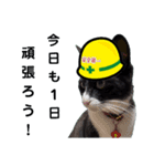 安全第一！仕事猫エレが作業現場で一言！（個別スタンプ：4）