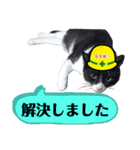 安全第一！仕事猫エレが作業現場で一言！（個別スタンプ：11）
