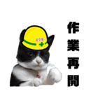 安全第一！仕事猫エレが作業現場で一言！（個別スタンプ：14）