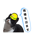 安全第一！仕事猫エレが作業現場で一言！（個別スタンプ：17）