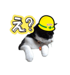 安全第一！仕事猫エレが作業現場で一言！（個別スタンプ：19）