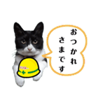 安全第一！仕事猫エレが作業現場で一言！（個別スタンプ：23）
