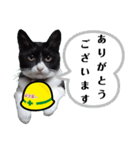 安全第一！仕事猫エレが作業現場で一言！（個別スタンプ：30）